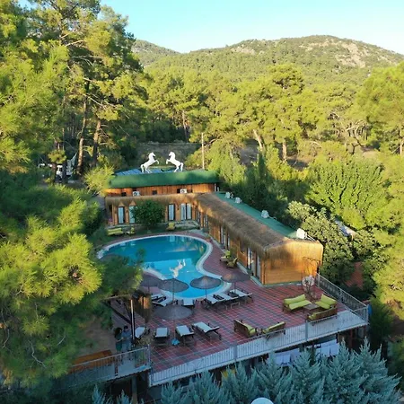 Olympos Toprak Evleri Earth Houses *